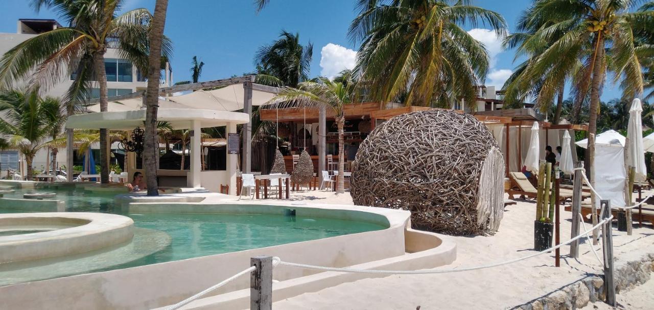 Suites Calle 38 Playa del Carmen Dış mekan fotoğraf